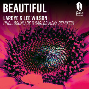 Listen to Beautiful (Casamena Club Mix) song with lyrics from Laroye