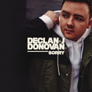 收聽Declan J Donovan的Sorry歌詞歌曲