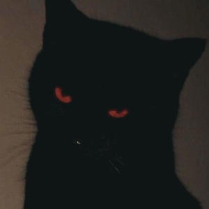 收聽Armoniixd的Ego death (Explicit)歌詞歌曲