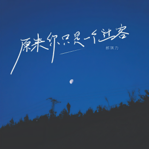 Listen to 原来你只是一个过客 song with lyrics from 郝琪力