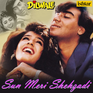 Listen to Sun Meri Shehzadi (From "Dilwale") song with lyrics from Kumar Sanu