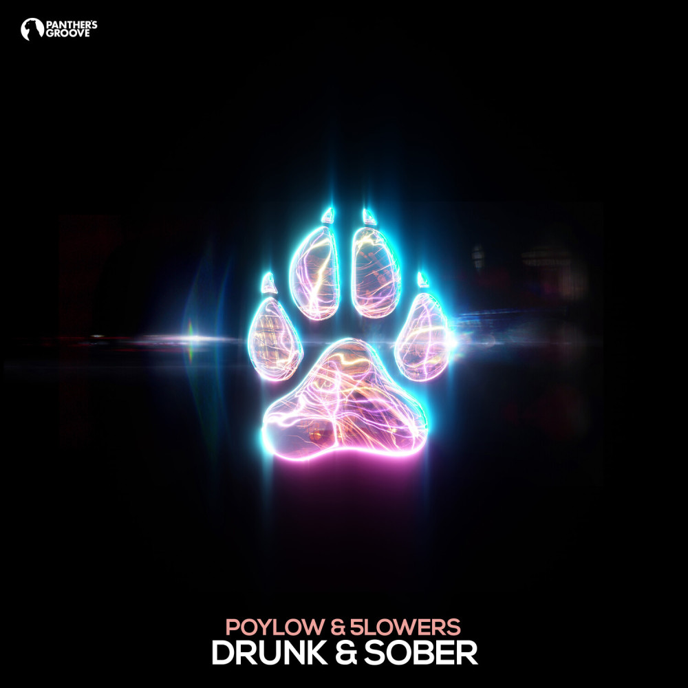 Drunk & Sober (Original Mix)