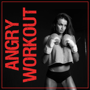 Album Angry Workout from Various