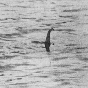 收聽Canário的Lago Ness (Turistas)歌詞歌曲