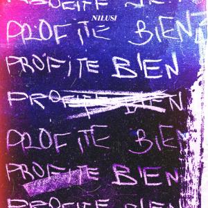 Nilusi的专辑Profite bien