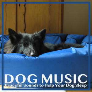 Dengarkan Excited Tail lagu dari Dog Music Dreams dengan lirik