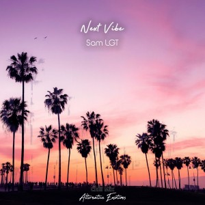 Album Next Vibe (Chill Mix) from Sam LGT