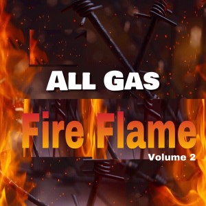 Various Artists的專輯All Gas Fire Flame, Vol. 2 (Explicit)