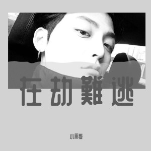 Listen to All Time Low（DJ版） song with lyrics from 小马哥