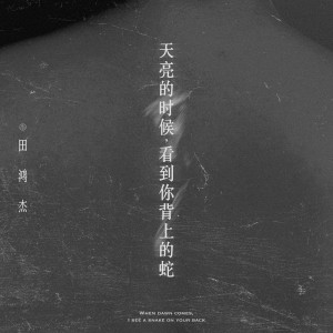 อัลบัม 天亮的时候，看到你背上的蛇 ศิลปิน 田鸿杰