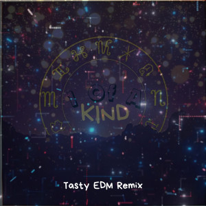 Album 1 of a Kind (Tasty Edm Remix) from Bonafide Suspects