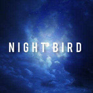 Listen to NIGHT BIRD song with lyrics from YuuSeI