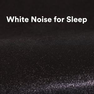 อัลบัม White Noise for Sleep ศิลปิน White Noise
