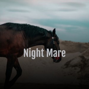 ดาวน์โหลดและฟังเพลง Night Mare พร้อมเนื้อเพลงจาก Artie Shaw