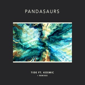 收聽Pandasaurs的Tide (Woodpil3 Remix)歌詞歌曲