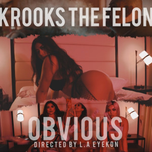 收聽Krooks The Felon的Obvious (Explicit)歌詞歌曲