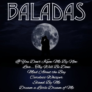 ดาวน์โหลดและฟังเพลง If We Fall in Love Tonight พร้อมเนื้อเพลงจาก DJ In the Night