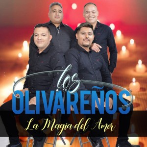 收聽Los Olivareños的Allá en San Blas de los Sauces歌詞歌曲