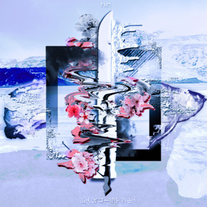 Album Ice Cold City from 