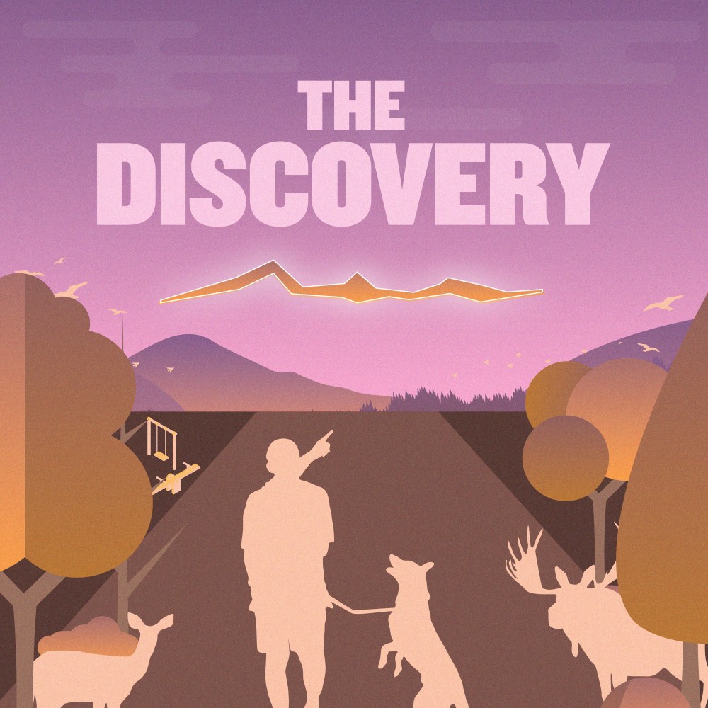 The Discovery