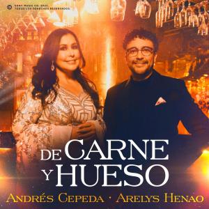 ดาวน์โหลดและฟังเพลง De Carne Y Hueso พร้อมเนื้อเพลงจาก Silvestre Dangond