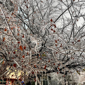 ดาวน์โหลดและฟังเพลง It's Getting Cold Out พร้อมเนื้อเพลงจาก Shaan James