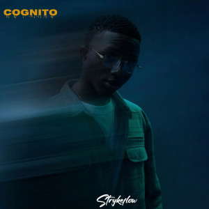 Album Cognito from Stryke Flow