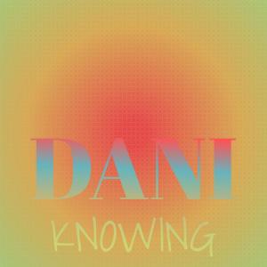 Various Artists的專輯Dani Knowing