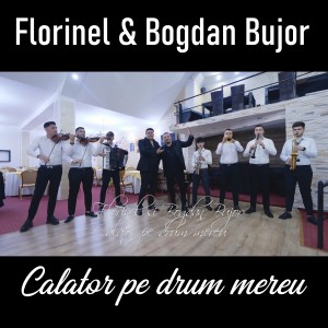 Listen to Calator pe drum mereu song with lyrics from Florinel