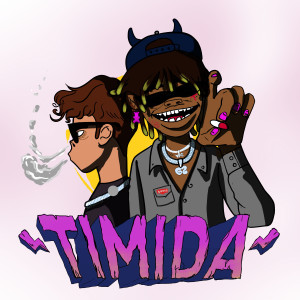 Album Timida from STR