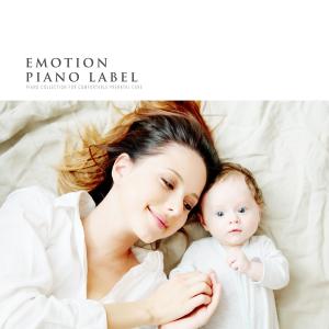 Various Artists的專輯Piano Collection For Comfortable Prenatal Care