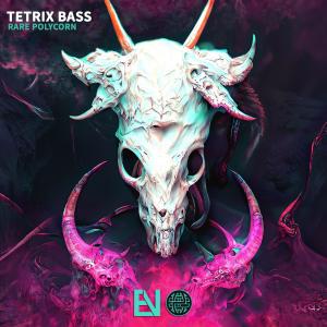 ดาวน์โหลดและฟังเพลง Rare Polycorn (Explicit) พร้อมเนื้อเพลงจาก Tetrix Bass