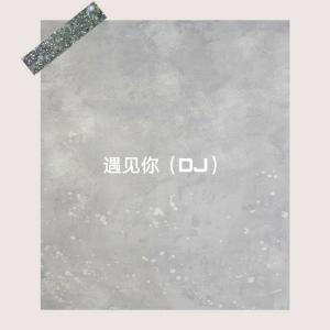 收聽薛璽林的遇見你（DJ） (DJ版)歌詞歌曲