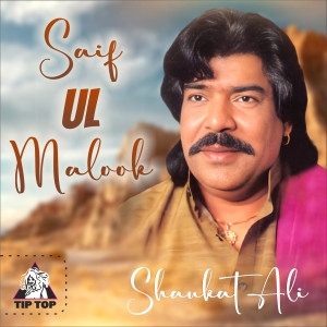 Shaukat Ali的專輯Saif Ul Malook