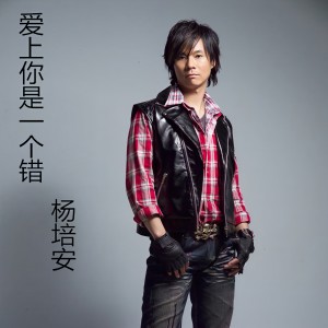 收聽楊培安的愛上你是一個錯 (DJ版)歌詞歌曲