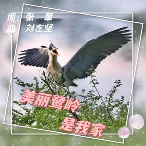 Album 美丽鹭岭是我家 from 