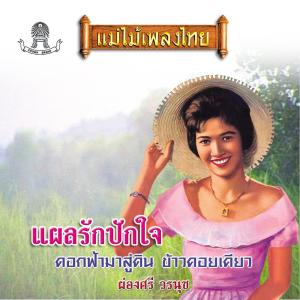 Album แม่ไม้เพลงไทย ชุด แผลรักปักใจ oleh ผ่องศรี วรนุช