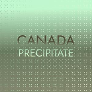 ดาวน์โหลดและฟังเพลง Coat Precipitation พร้อมเนื้อเพลงจาก Duglas Driso