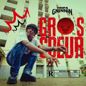 Listen to Gros Coeur song with lyrics from Tripa Gninnin