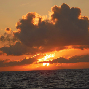 Dengarkan Simple Things lagu dari Patrick Wake dengan lirik