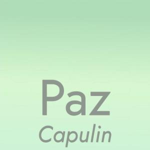 Various的专辑Paz Capulin