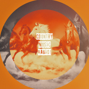 อัลบัม Country Music Radio! ศิลปิน American Country Hits