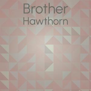 收听Shai Trayan的Brother Hawthorn歌词歌曲