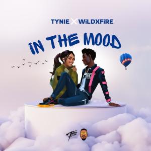 收聽Tynie的In the mood (feat. WiLDXFiRE)歌詞歌曲