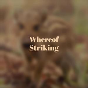 Album Whereof Striking from Various