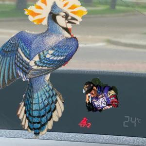 default album img