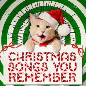 收聽New Years Orchestra的Christmas Canon in D (完整版)歌詞歌曲