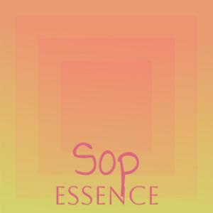 Various Artists的專輯Sop Essence