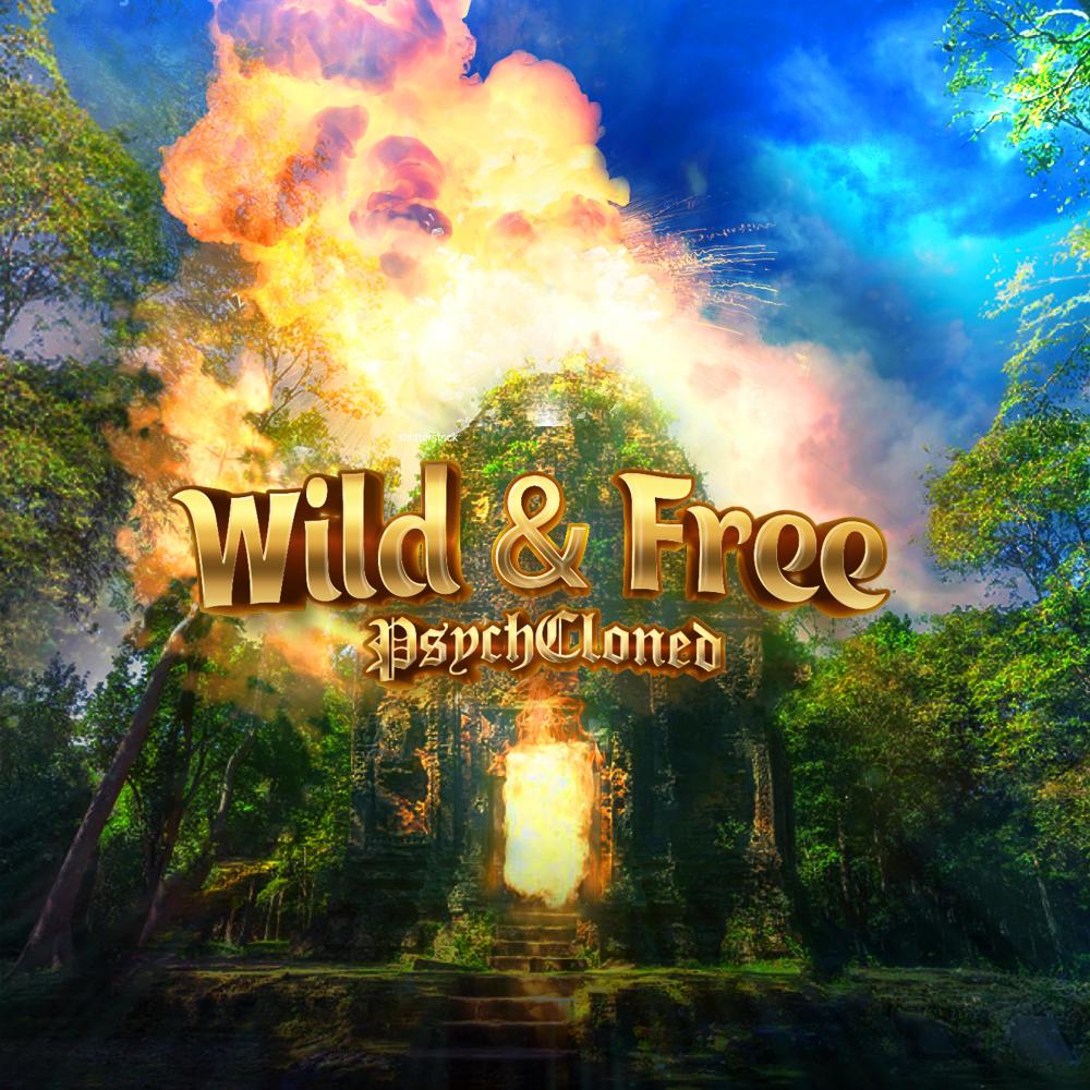 Chasing Fate (feat. Ryan Jones)
