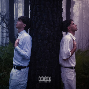 Album More Pain Than Love 2 (Explicit) from 